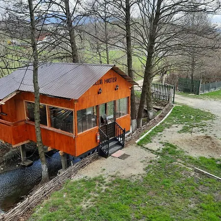 Pensiunea Marina Pensionat Bran (Brasov)