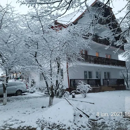 Pensionat Pensiunea Marina Bran (Brasov)
