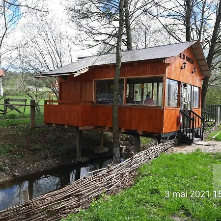 Pensionat Pensiunea Marina Bran (Brasov)